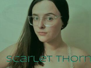 Scarlet_Thorn