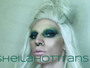SheilaHotTrans