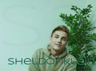 SheldonKlein