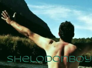 ShelodonBoy