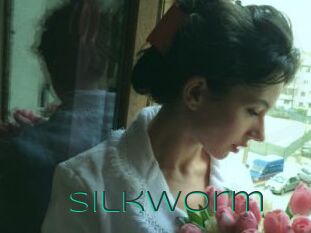 Silkworm