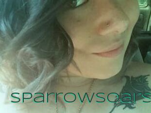 SparrowSoars