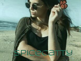 SpiceCatty