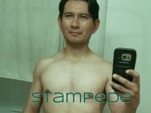 Stampede