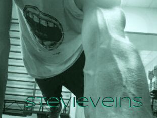 StevieVeins