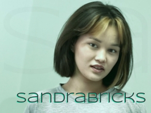 Sandrabricks