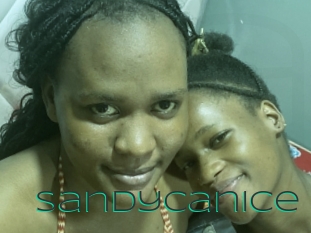Sandycanice
