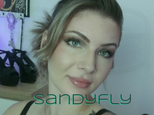 Sandyfly