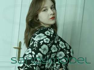 Sandymodel