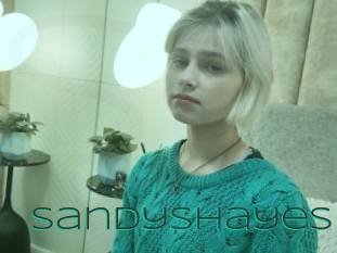 Sandyshayes