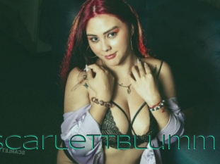 Scarlettblumm