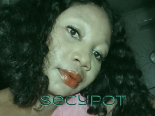 Secypot
