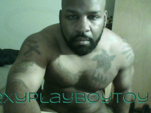 sexyplayboytoy Sex Agent