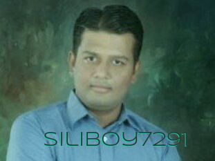 Siliboy7291