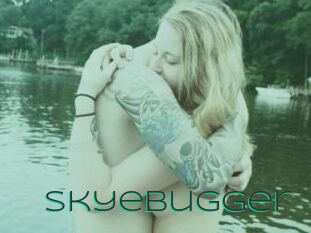 Skyebugger