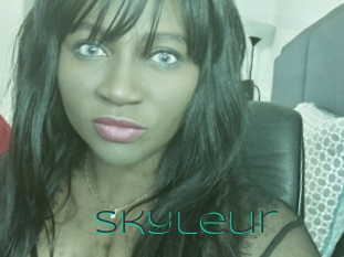Skyleur