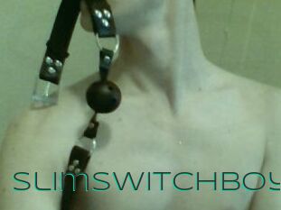 Slimswitchboy