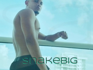 snakebig Sex Agent