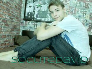 Socutedavid