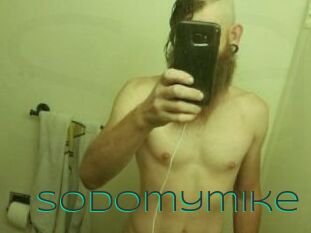 Sodomymike