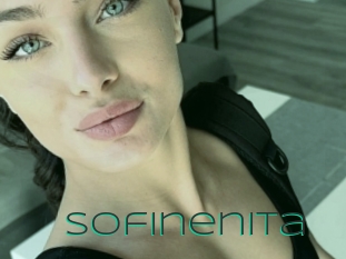 Sofinenita