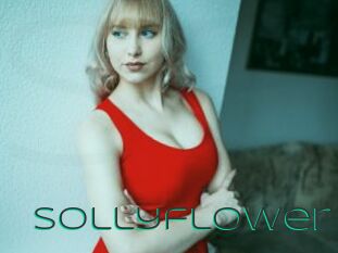 Sollyflower