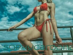 Sophycardona