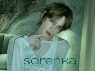 sorenkai Sex Agent