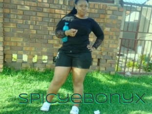 Spicyebonyx