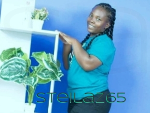 Steilaz65
