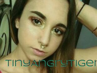 TinyAngryTiger