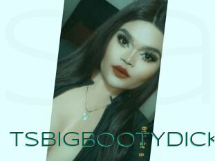 TsBIGBOOTYDICK