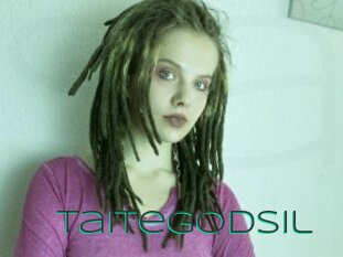 Taitegodsil