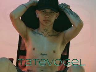 Tatevogel
