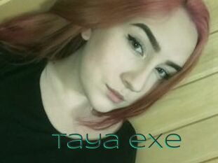 Taya_exe