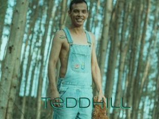 Teddhill