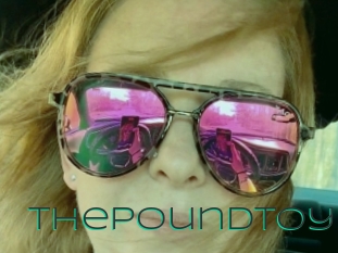 Thepoundtoy