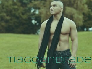 tiagoandrade Sex Agent