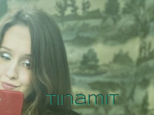 Tinamit
