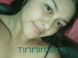 Tinnimark