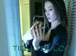 Tiny_taylor