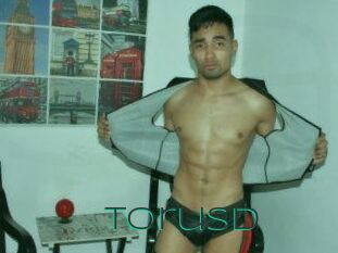 Torusd