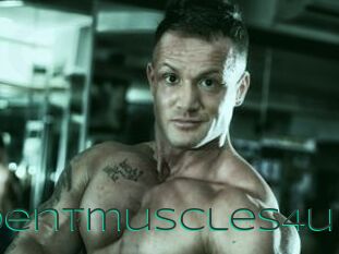 Tridentmuscles4u