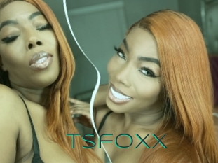 Tsfoxx