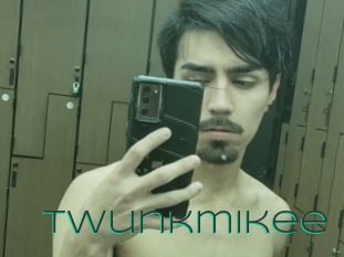 Twunkmikee
