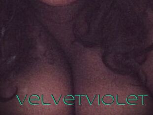 VelvetViolet