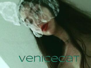 VeniceCat
