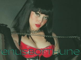 VenusBorthune