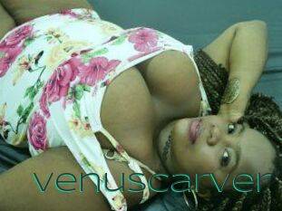 VenusCarver