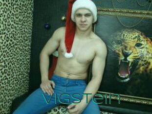 VigStein